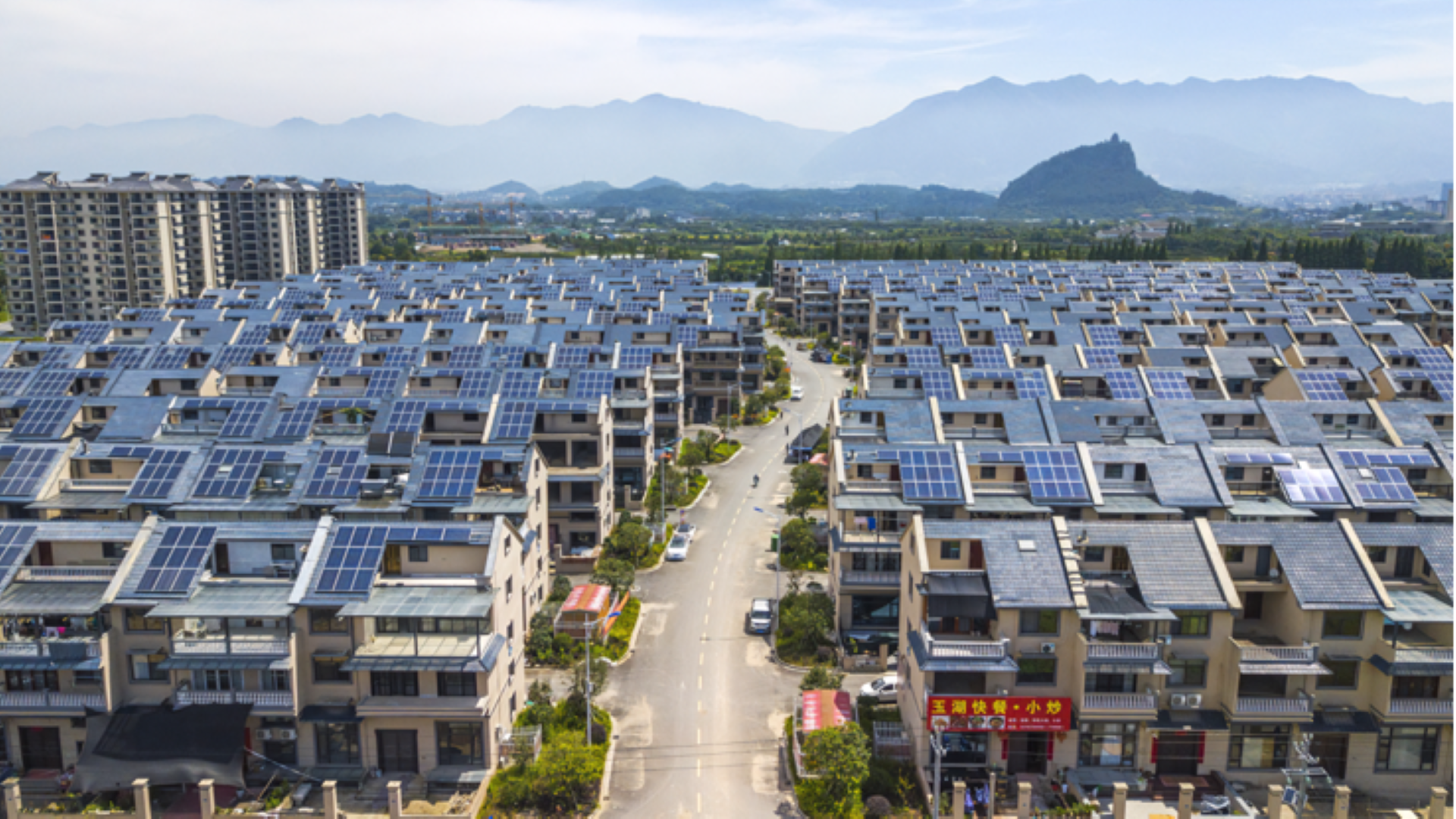 屋顶长出的“春天”