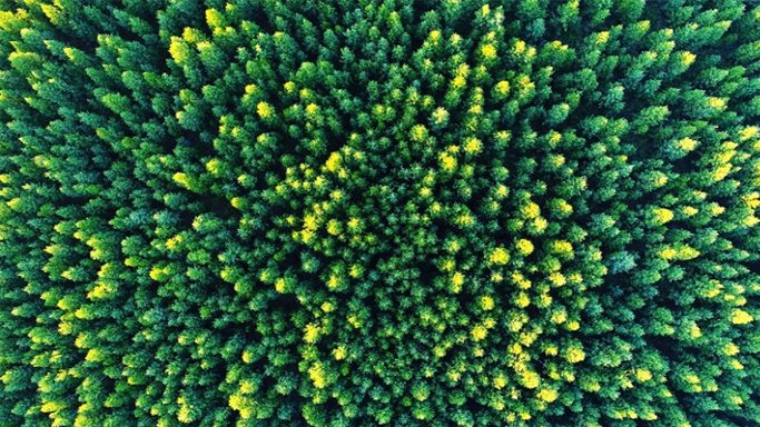 公司生产活动中会产生废气、废水、一般及危险废弃物等。这些污染物管理状况会影响到工厂及周边社区的空气、土壤与地下水环境，其运输和最终处置方式也可能会造成环境影响。公司推进绿色运营，对污染物和废弃物排放设定目标并加强管理，生产基地环境管理体系覆盖率为100%。公司设立2025年单位产品VOC排放较2020年降低30%、颗粒物下降75%的目标，2024年实际排放强度分别下降47%，88%。针对危险废弃物，所有处置均符合法律法规要求，委托第三方机构进行处置，包括再利用、焚烧、暂存等。