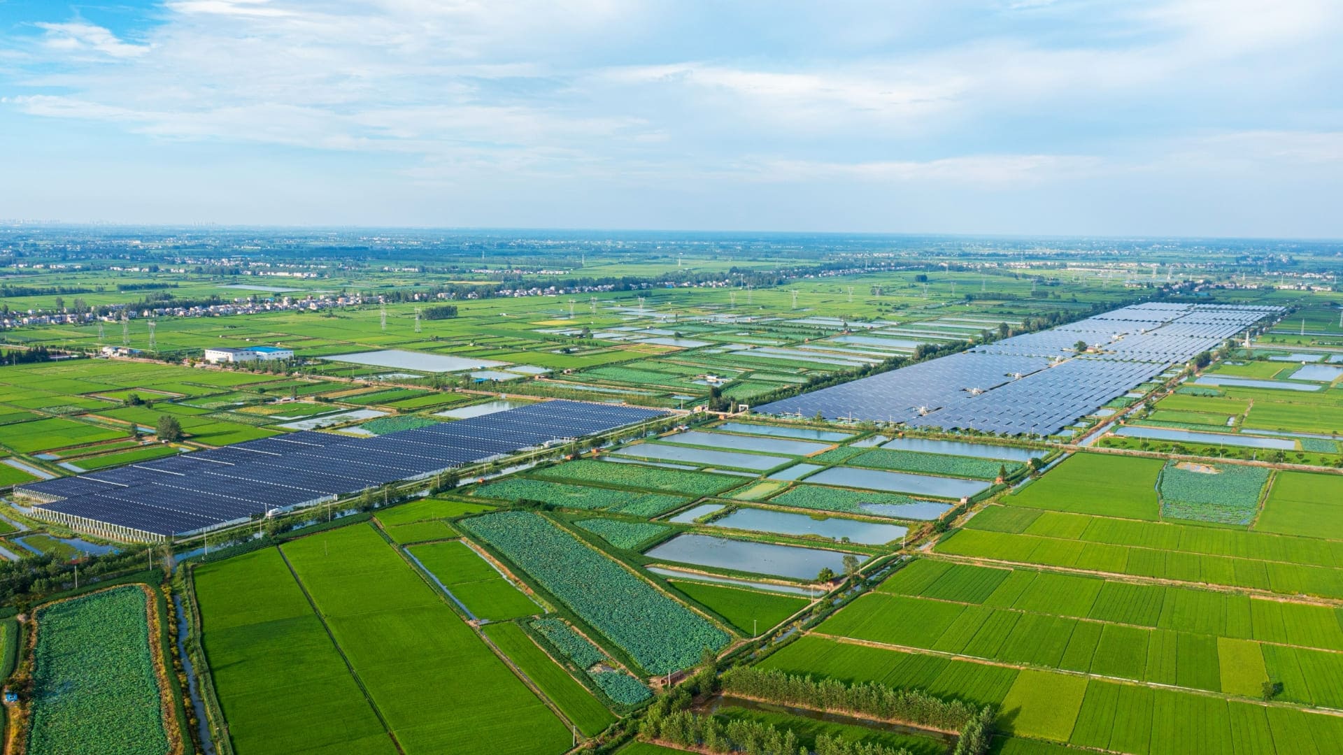 阳光新能源洪湖200MW渔光互补电站