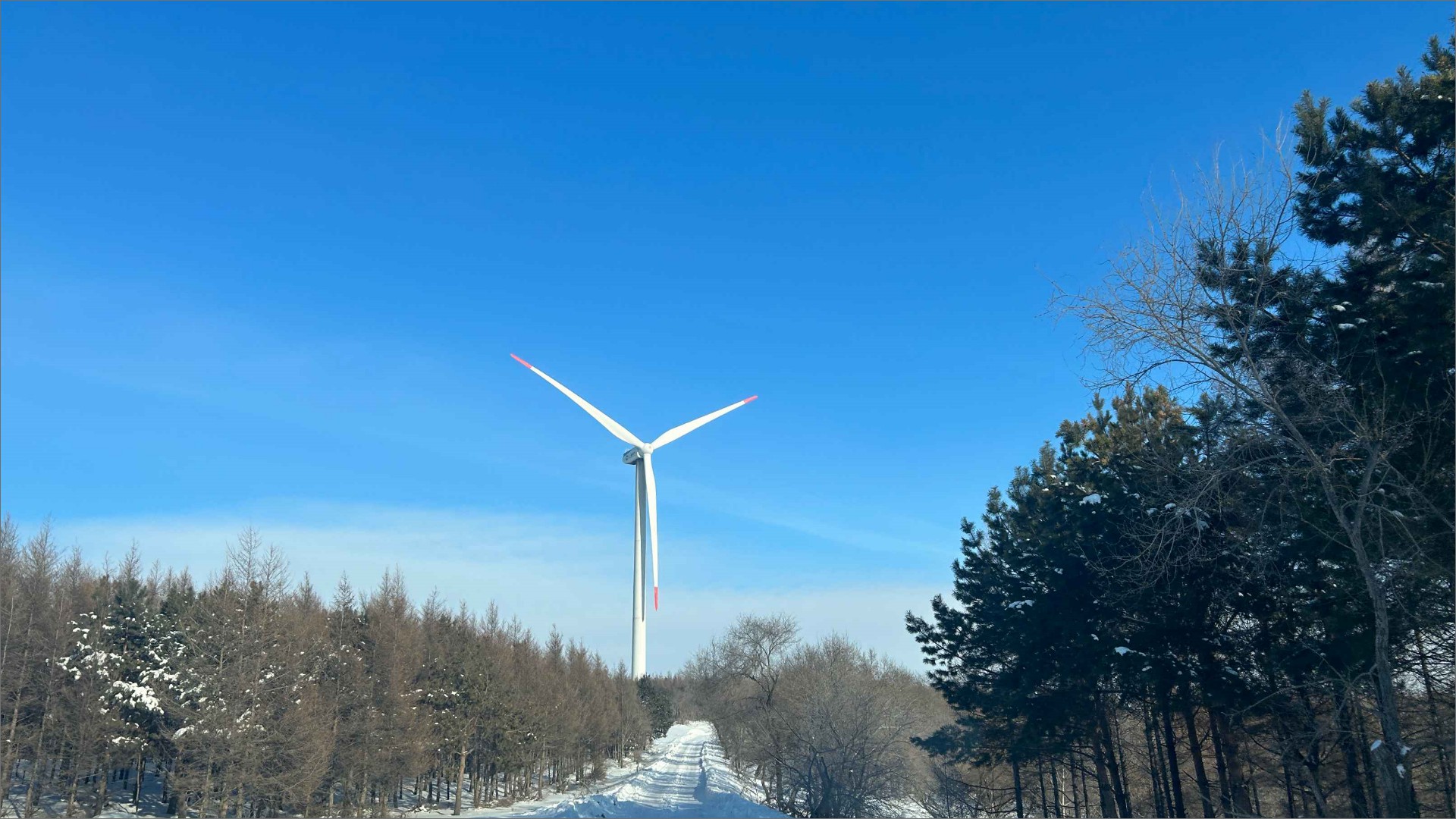 哈尔滨宾县锐驰风电场