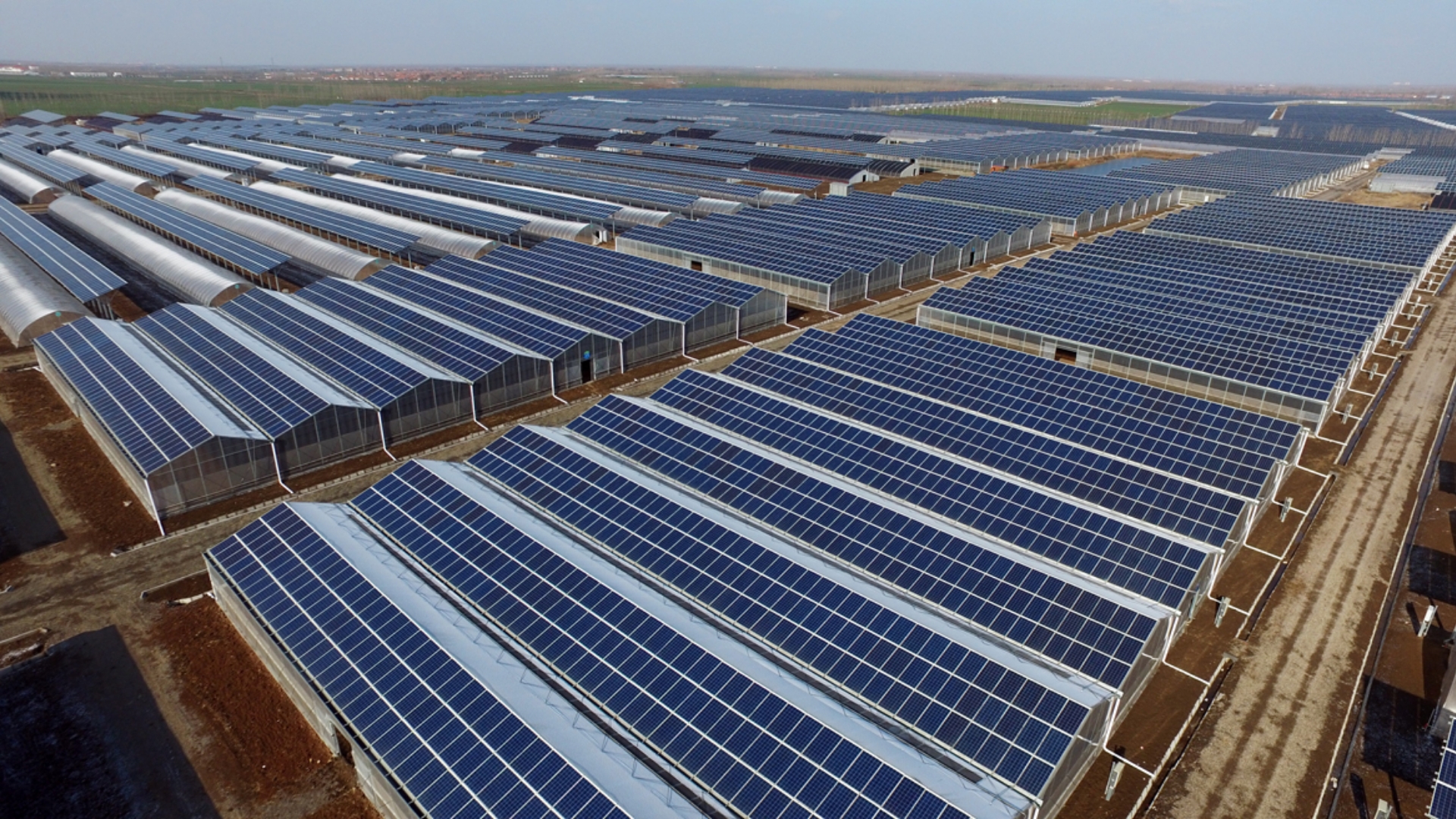 山东青岛即墨25MW农光互补光伏电站