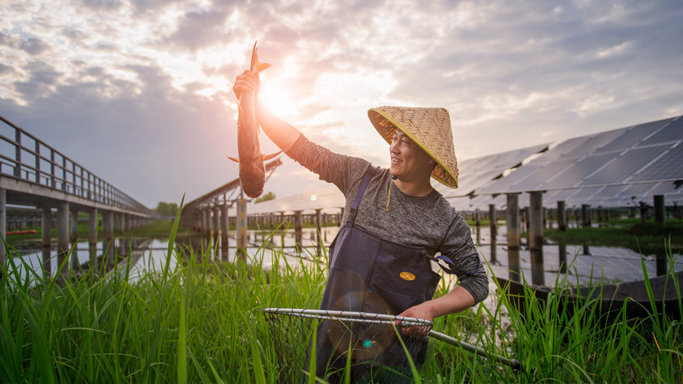 阳光电源推动将生态设计融入研发体系，在产品开发和技术研究的阶段将轻量化、有害物质管控等措施纳入考量，通过优化设计方案减少工业固体废物的产生，促进资源循环利用。PowerTitan2.0电池组件需应用钢带捆束，钢带强度虽高，但密度大、成本也高。通过仿真发现，玄武岩材料塑带结构能够满足电池组件的膨胀力要求，应用玄武岩材料塑带代替钢带，一组电池组件可至少降低0.4kg的重量。为培养内部生态设计意识，2024年，公司组织开展为期两天（16小时）的“基于可持续发展原则的产品生命周期设计”主题培训，共计69位研发领域同事参与了培训与研讨。