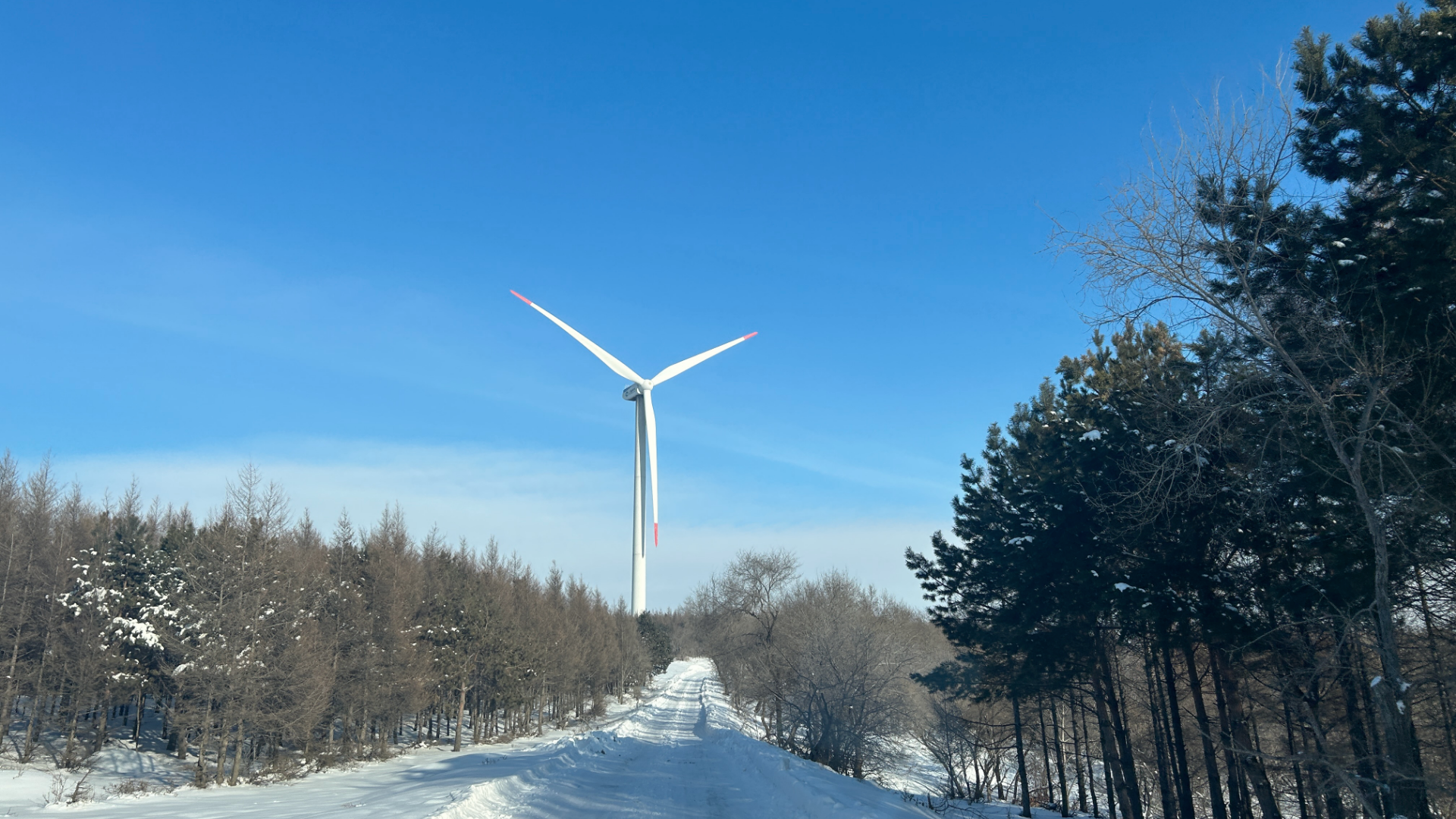 后备电源电池改电容
