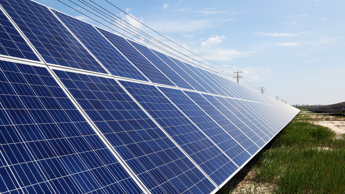 公司注重项目开发过程中的生态和生物多样性保护，在开发、建设新能源电站过程中，尊重自然、顺应自然、保护自然。项目选址前，公司经由权威第三方机构开展生物多样性及候鸟迁徙评估报告，保证项目选址不占用、不影响生物多样性及候鸟迁徙路线。同时，针对水土流失、污废水、火灾等潜在生态问题，公司均采取针对性措施，同时在施工建设全过程建立环境因素控制台账，组织对绿色施工开展检查与验收。