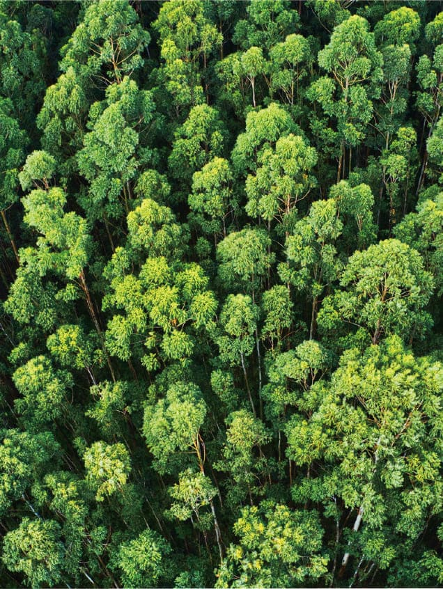 可持续发展报告