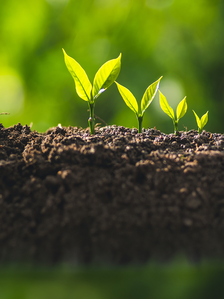 798小时，他们和供应商聊了什么？